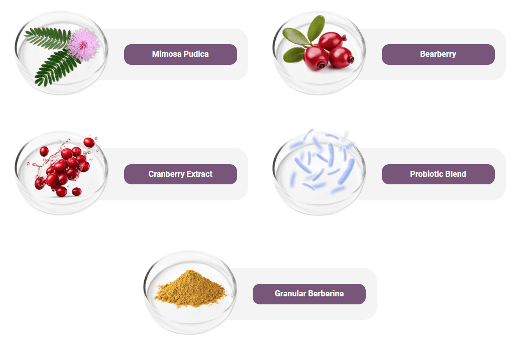 Natural ingredients used in FemiPro urinary health supplement